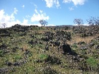 iara Scorciavacca-20110306 028